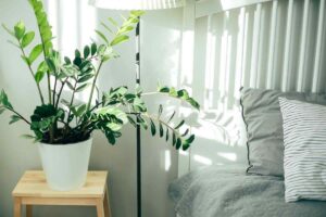 Vaso con pianta sul comodino di fianco al letto e alla lampada