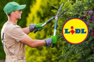 uomo che taglia siepe logo lidl