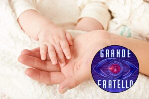 due mani e il logo del grande fratello