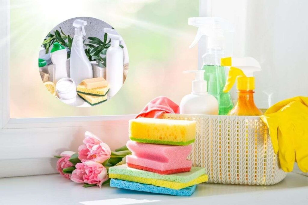 prodotti naturali e non per la pulizia di casa